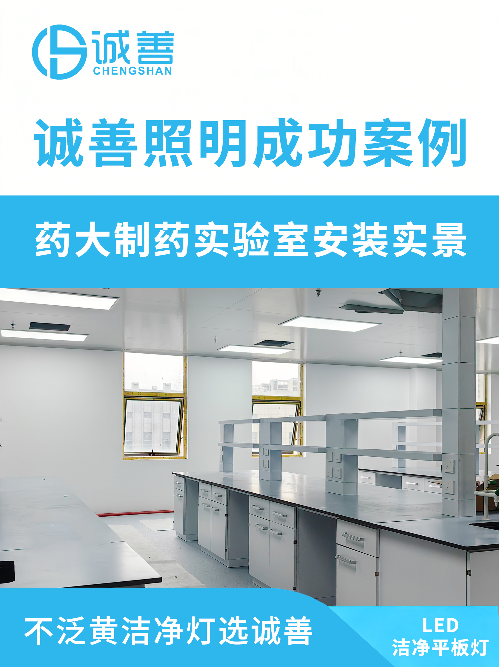诚善照明成功案例药大制药